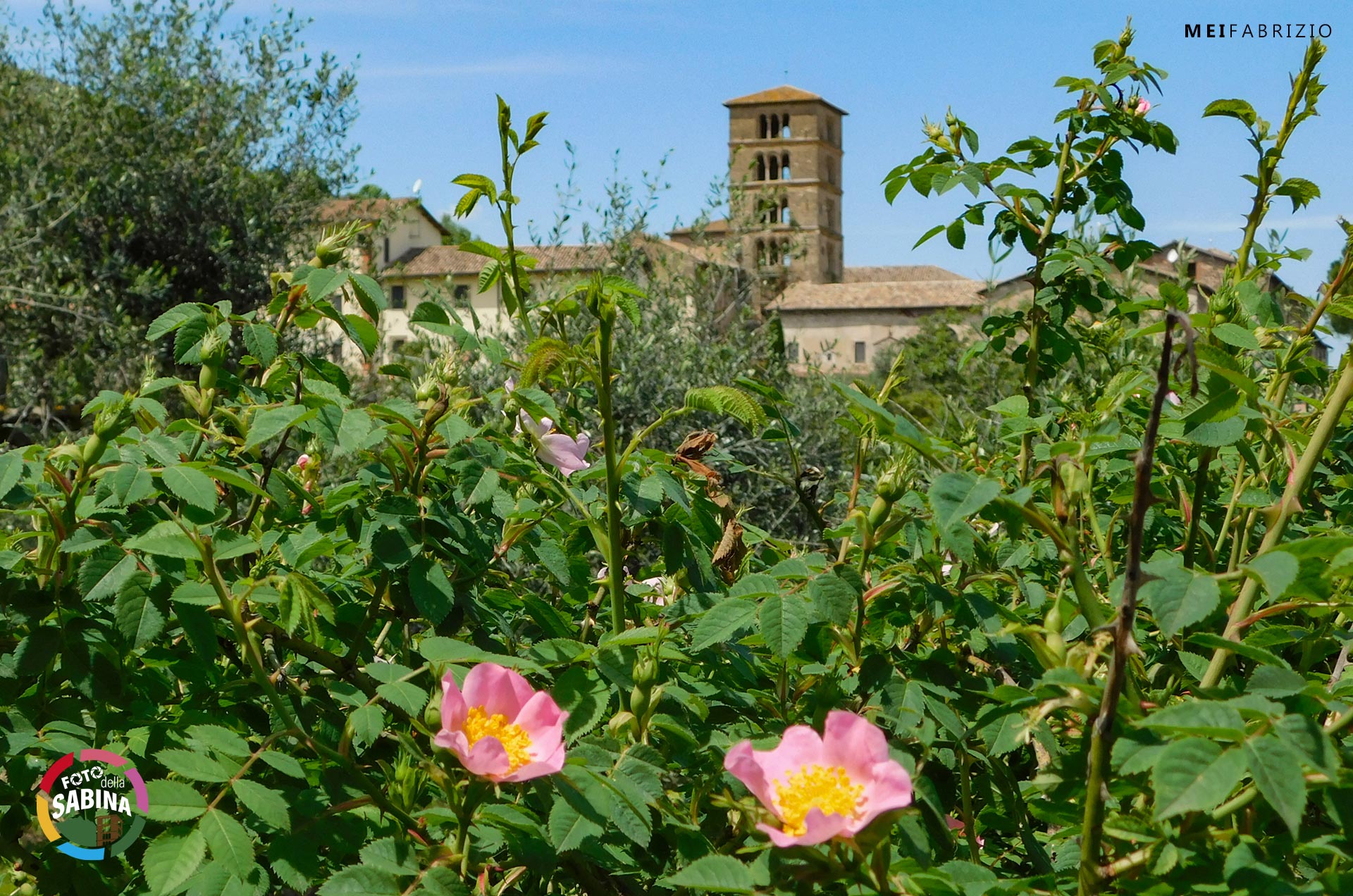 OLIO MEI di Fabrizio Mei a Farfa